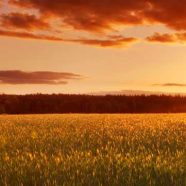 RE-CLAIMING JEWISH VALUES AROUND DEATH AND BURIAL